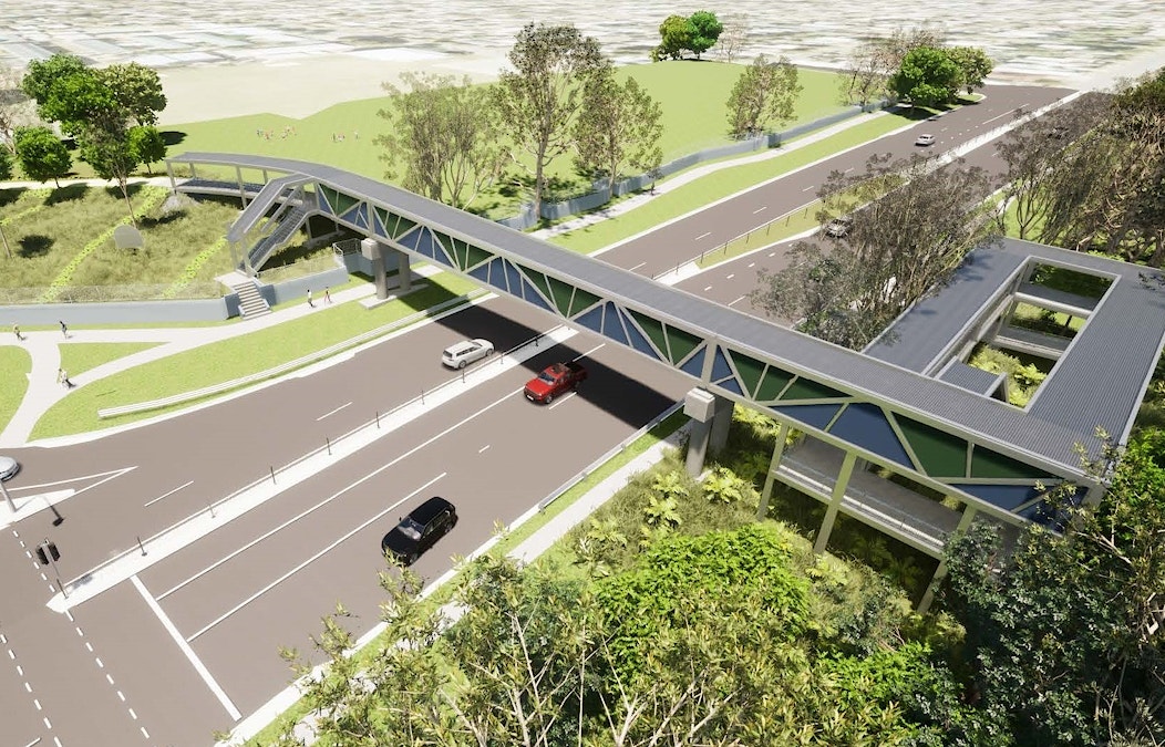Spotters called in after koala road death